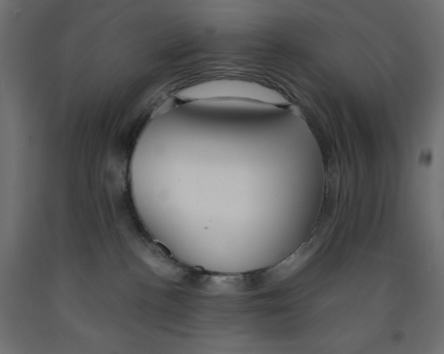 X0000091860188200710031709