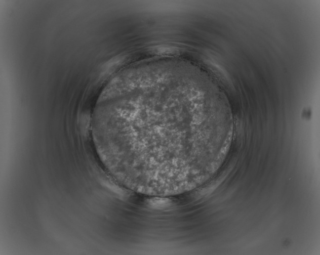 X0000091860189200710031709