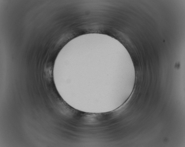 X0000091860190200710031709