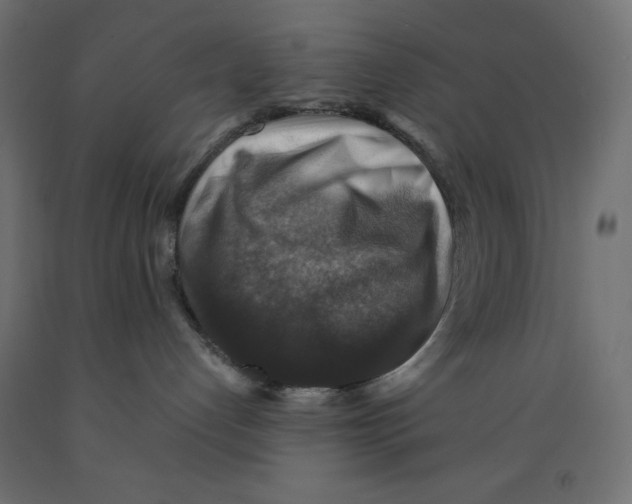 X0000091860192200710031709