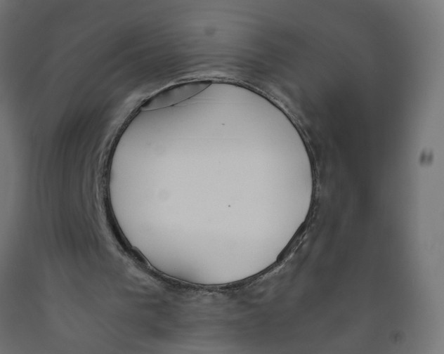 X0000091860193200710031708