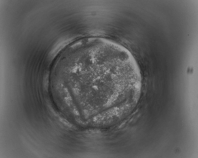 X0000091860194200710031708