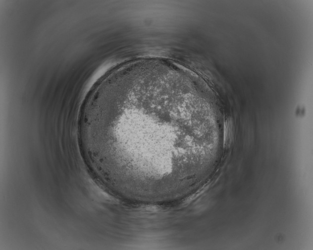 X0000091860195200710031708