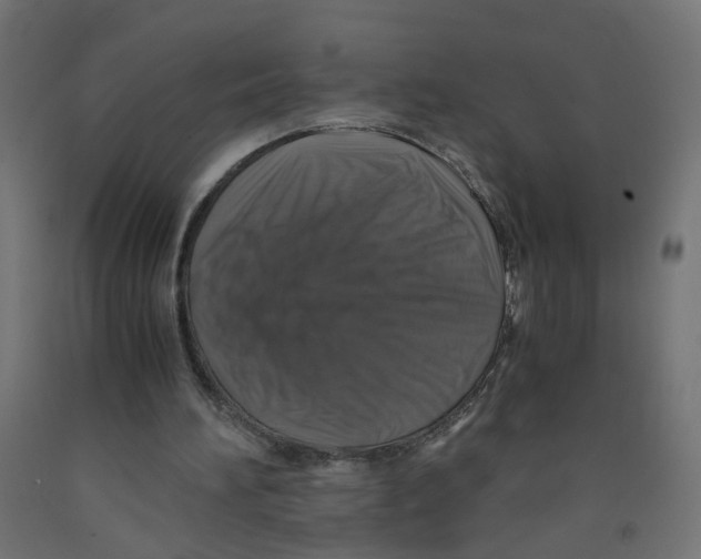 X0000091860196200710031708