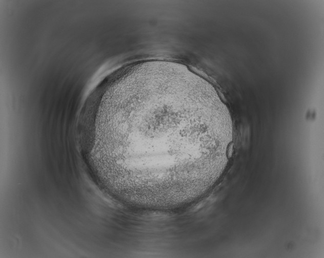 X0000091860198200710031708