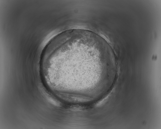 X0000091860199200710031708