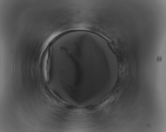 X0000091860200200710031708