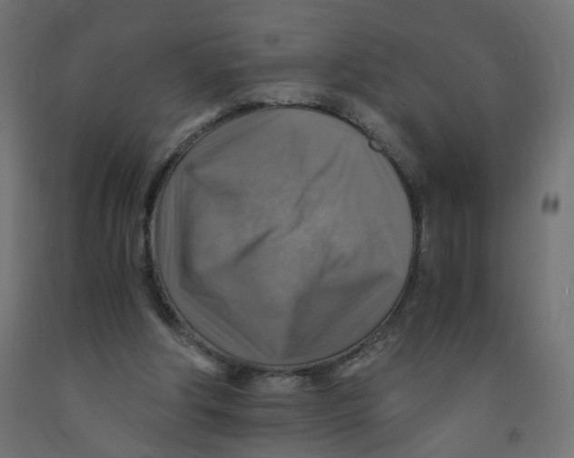 X0000091860202200710031708