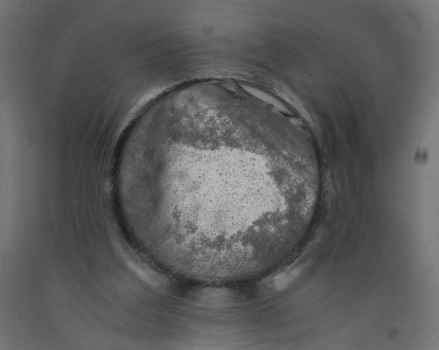 X0000091860203200710031708