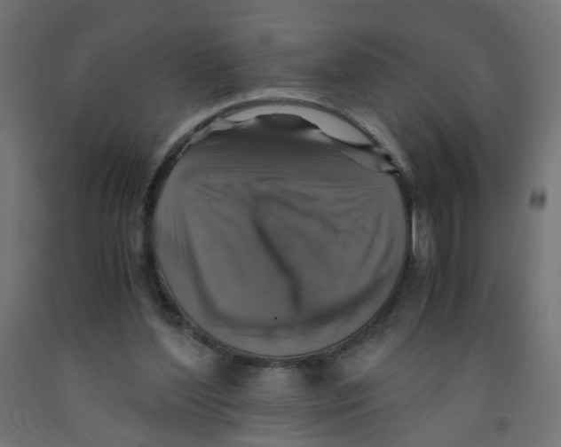 X0000091860204200710031708