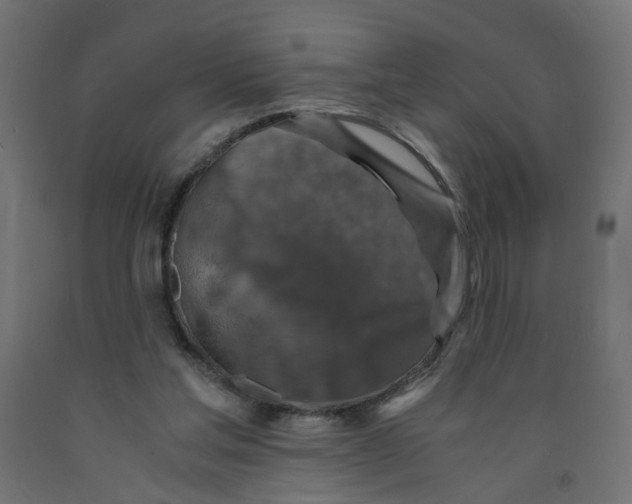 X0000091860205200710031708