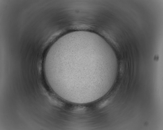 X0000091860206200710031708