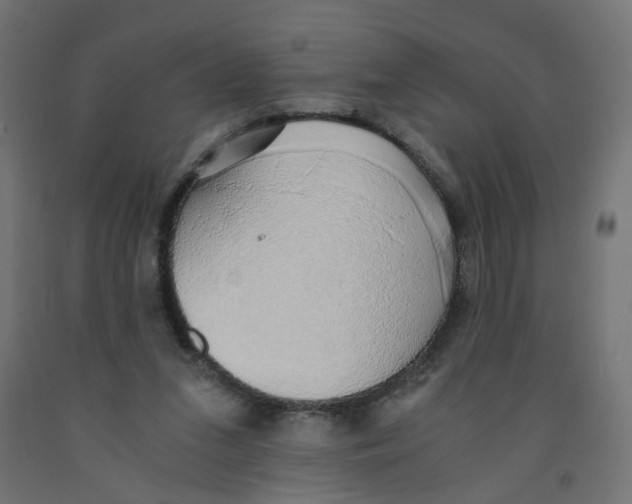 X0000091860207200710031708