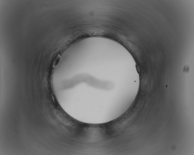 X0000091860209200710031708