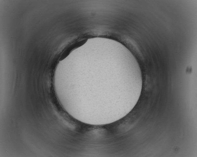 X0000091860210200710031708