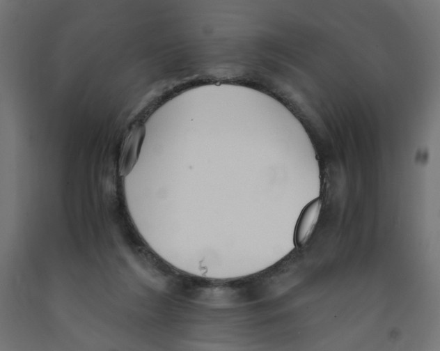 X0000091860212200710031708