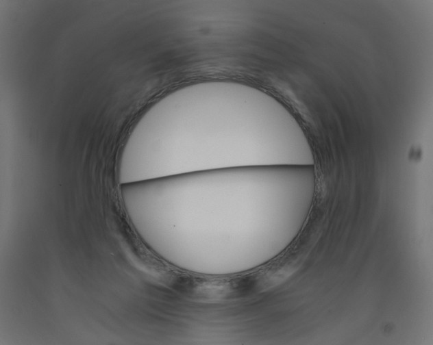 X0000091860213200710031708