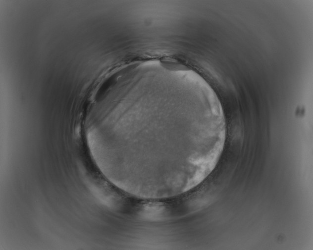 X0000091860214200710031708