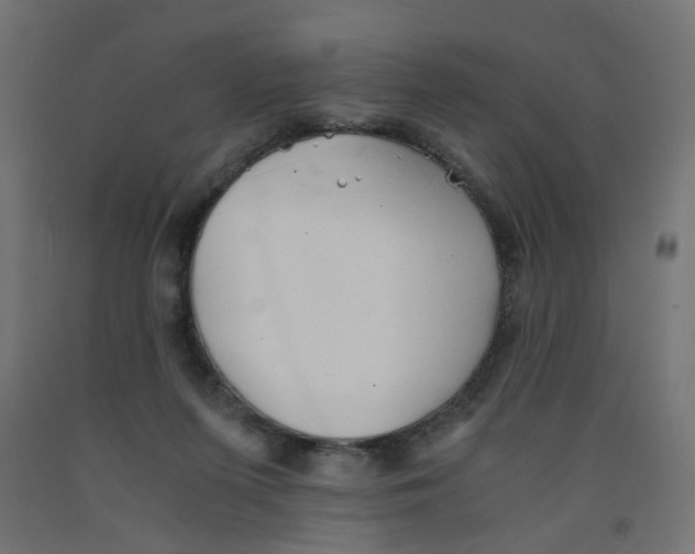 X0000091860215200710031708