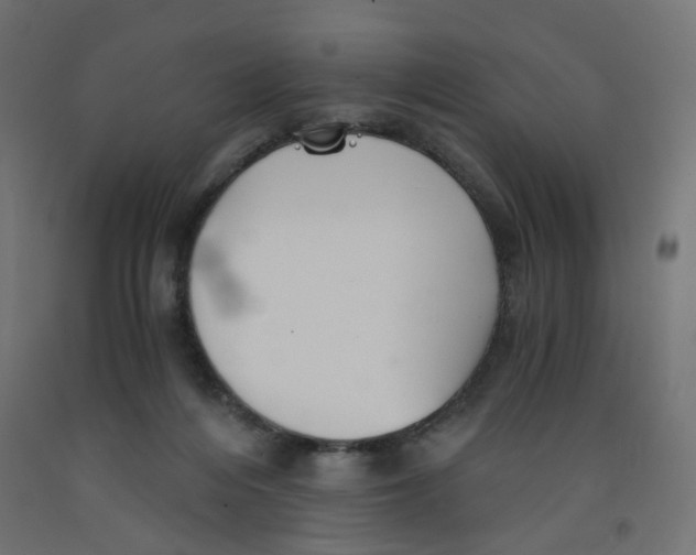 X0000091860216200710031708