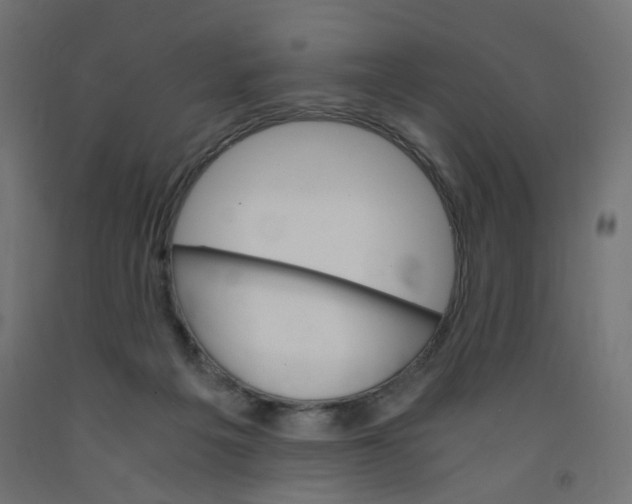 X0000091860217200710031708