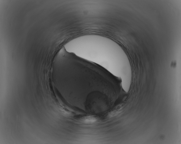 X0000091860219200710031708