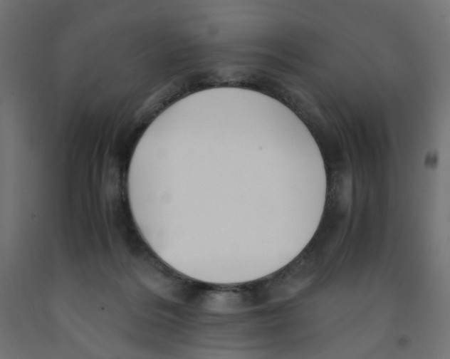 X0000091860220200710031708