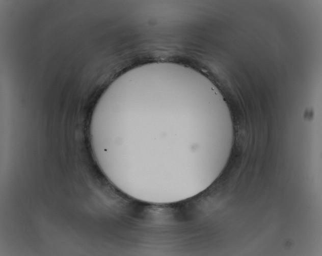 X0000091860221200710031708