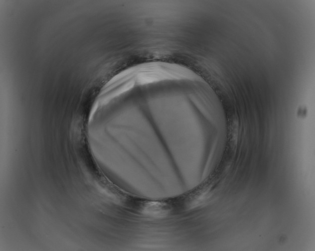 X0000091860222200710031708