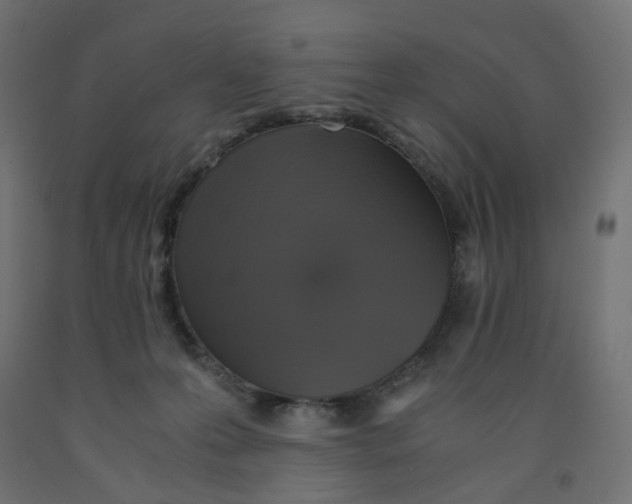 X0000091860223200710031708