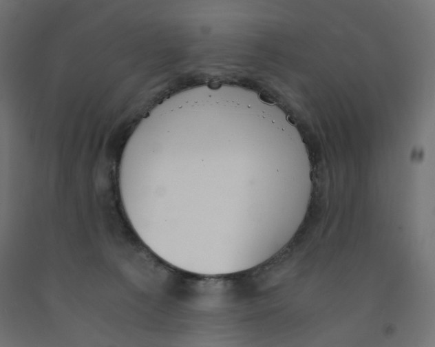 X0000091860225200710031708