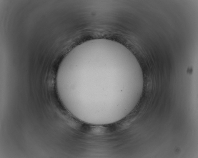 X0000091860226200710031708