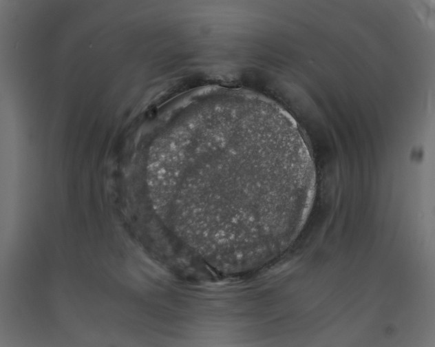 X0000091860229200710031708