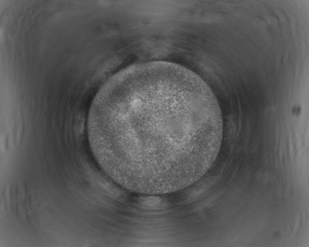 X0000091860230200710031708