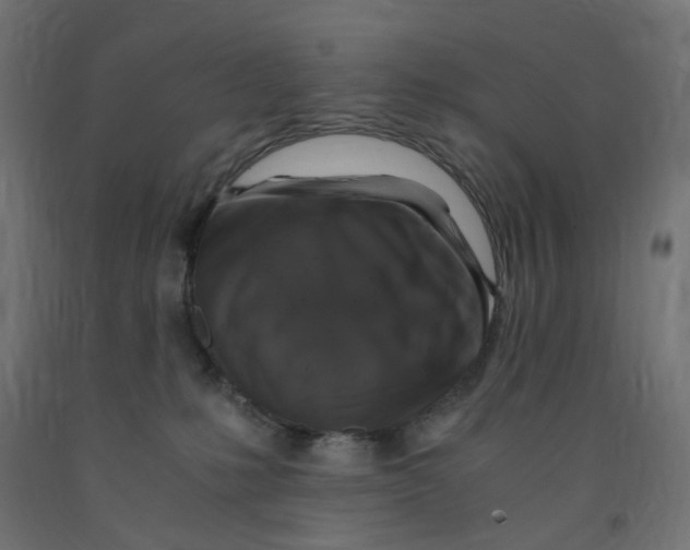 X0000091860231200710031708