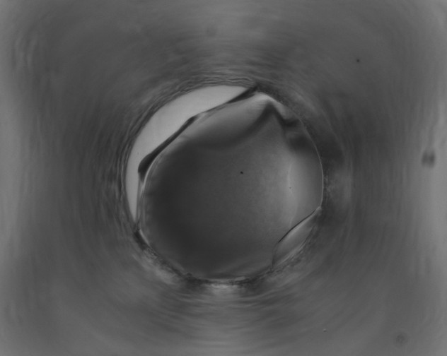 X0000091860233200710031708