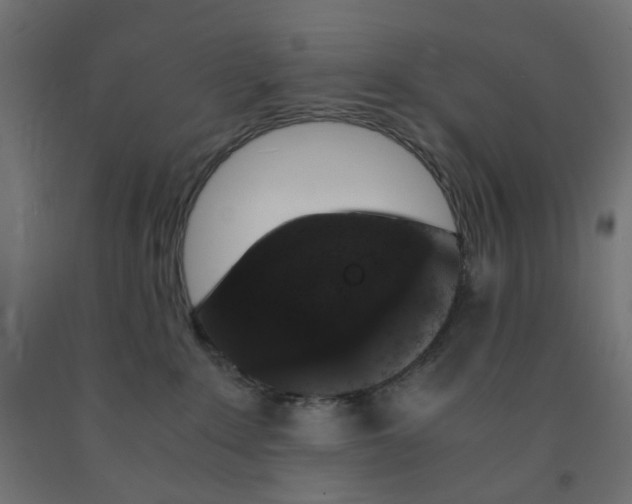 X0000091860235200710031708