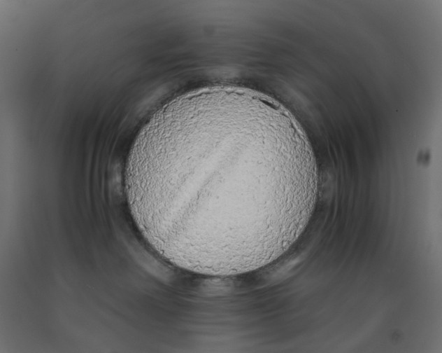 X0000091860238200710031708