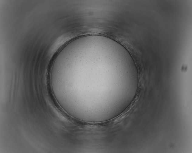 X0000091860242200710031707