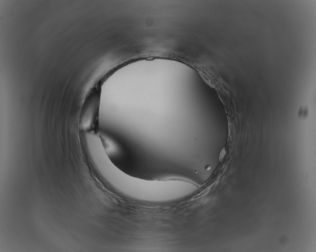 X0000091860244200710031707