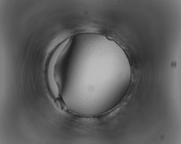 X0000091860245200710031707