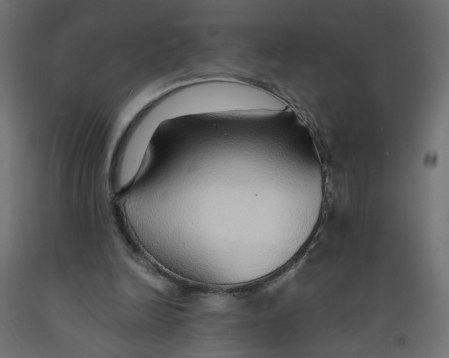 X0000091860246200710031707