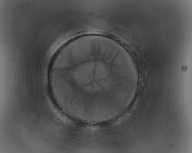 X0000091860247200710031707