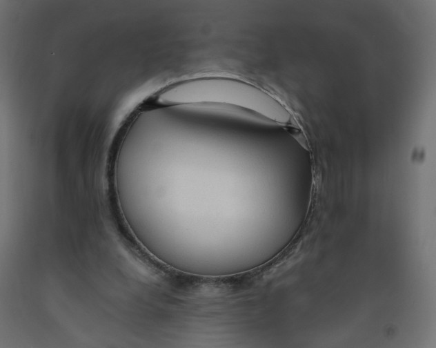 X0000091860248200710031707