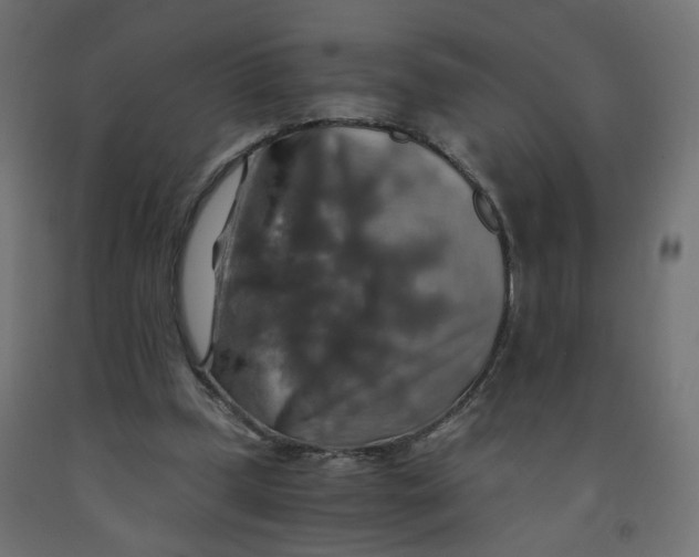 X0000091860249200710031707