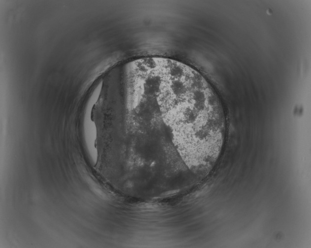 X0000091860250200710031707