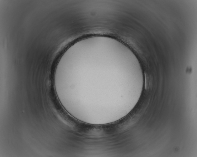 X0000091860252200710031707