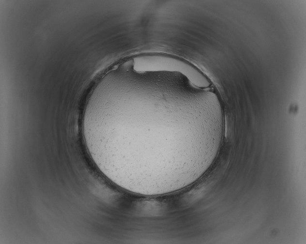 X0000091860253200710031707