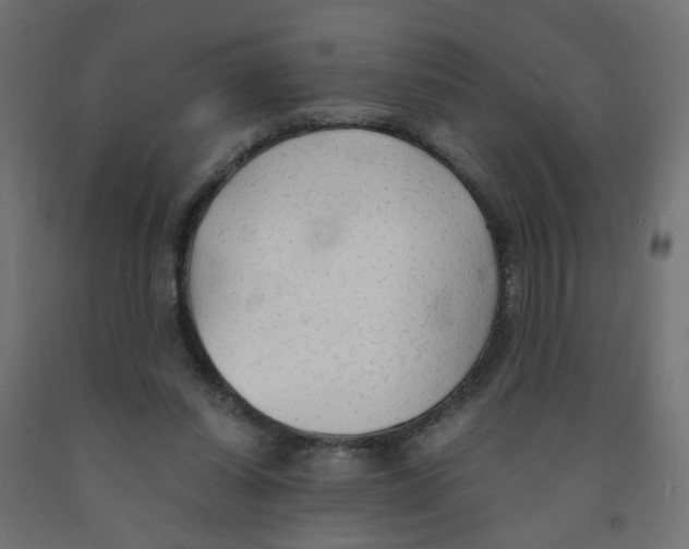 X0000091860254200710031707