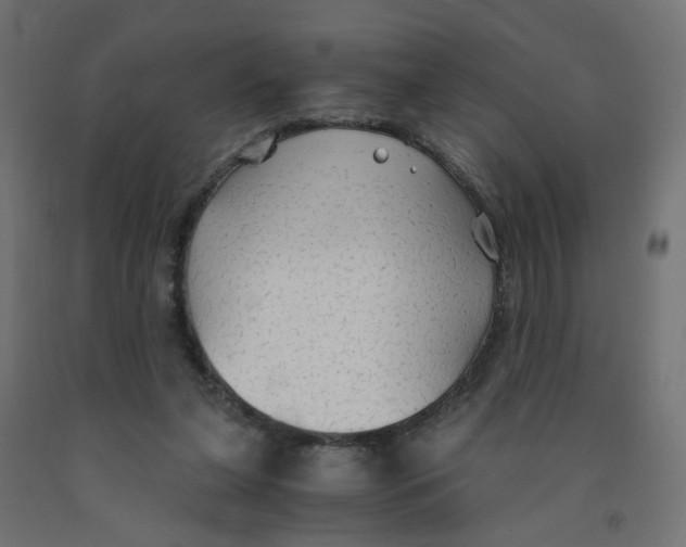 X0000091860255200710031707